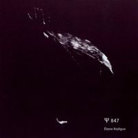 Éliane Radigue - &Psi; 847