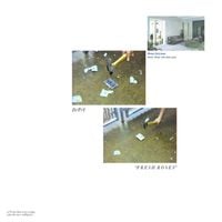 D/P/I - Fresh Roses