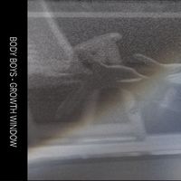 Body Boys - Growth Window