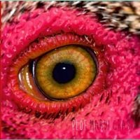 PloF - Mardi Gras