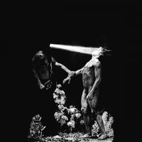 Leucosis - III