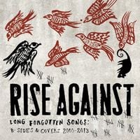 Rise Against - Long Forgotten Songs: B-sides & Covers 2000-2013