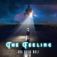 The Feeling - Boy Cried Wolf