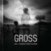 Marcelo Gross - Use o Assento Para Flutuar