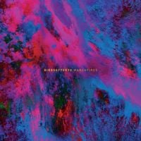 Birds of Tokyo - March Fires