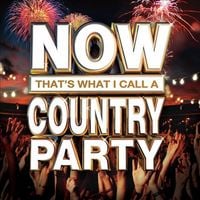 Various Artists - Now That's What I Call a Country Party