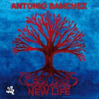 Antonio Sanchez - New Life
