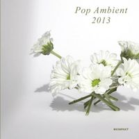 Various Artists - Pop Ambient 2013