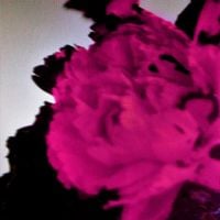John Legend - All of Me