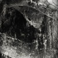 Abyssal - Novit enim Dominus qui sunt eius