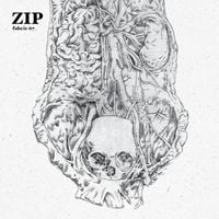 Zip - Fabric 67