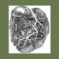Wolf Eyes - No Answer: Lower Floors