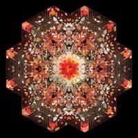 Gold Panda - Half of Where You Live