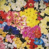 Is Tropical - I'm Leaving