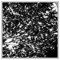 clipping. - midcity