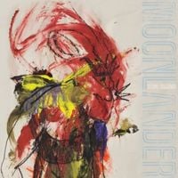 Stone Gossard - Moonlander