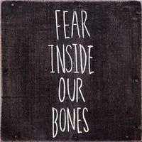 The Almost - Fear Inside Our Bones