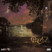 Joey Bada$$ - Summer Knights