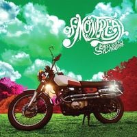 of Montreal - Lousy With Sylvianbriar