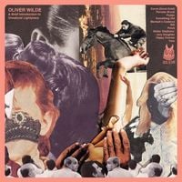 Oliver Wilde - A Brief Introduction to Unnatural Light Years