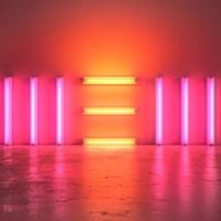 Paul McCartney - New