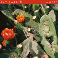 Sky Larkin - Motto
