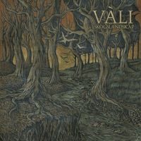 V&agrave;li - Skogslandskap