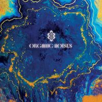 Organic Noises - Organic Noises