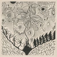 Jordsj&oslash; - Nattfiolen