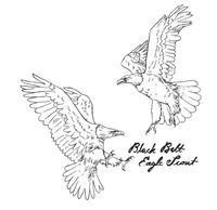 Black Belt Eagle Scout - Black Belt Eagle Scout 