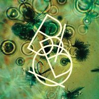 Bibio - The Green EP