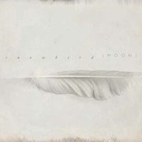 Snowbird - moon