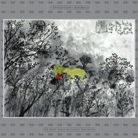 John Lurie National Orchestra - The Invention of Animals