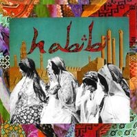 Habibi - Habibi