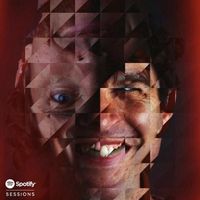 Animal Collective - Spotify Sessions