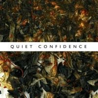 Ninetails - Quiet Confidence