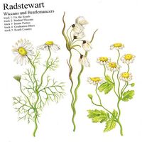 Radstewart - Wiccans & Beatlemancers