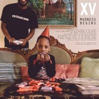 XV - Madness Begins