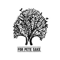 For Pete Sake - Soothing Edge EP