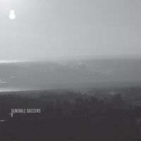 Sensible Soccers - 8