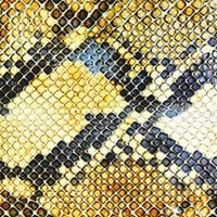 The Amazing Snakeheads - Amphetamine Ballads