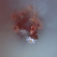 Yuck - Southern Skies