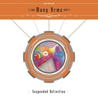 Many Arms - Suspended Definition