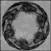 Torch Runner - Committed to the Ground