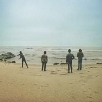 The Donkeys - Ride The Black Wave