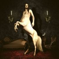 Venetian Snares - My Love Is a Bulldozer