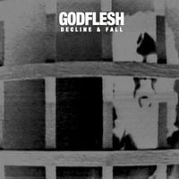 Godflesh - Decline and Fall