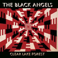 The Black Angels - Clear Lake Forest