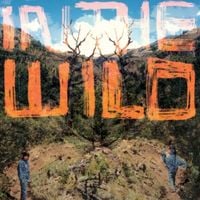 FaltyDL - In The Wild
