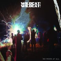 Wildcat! Wildcat! - No Moon at All